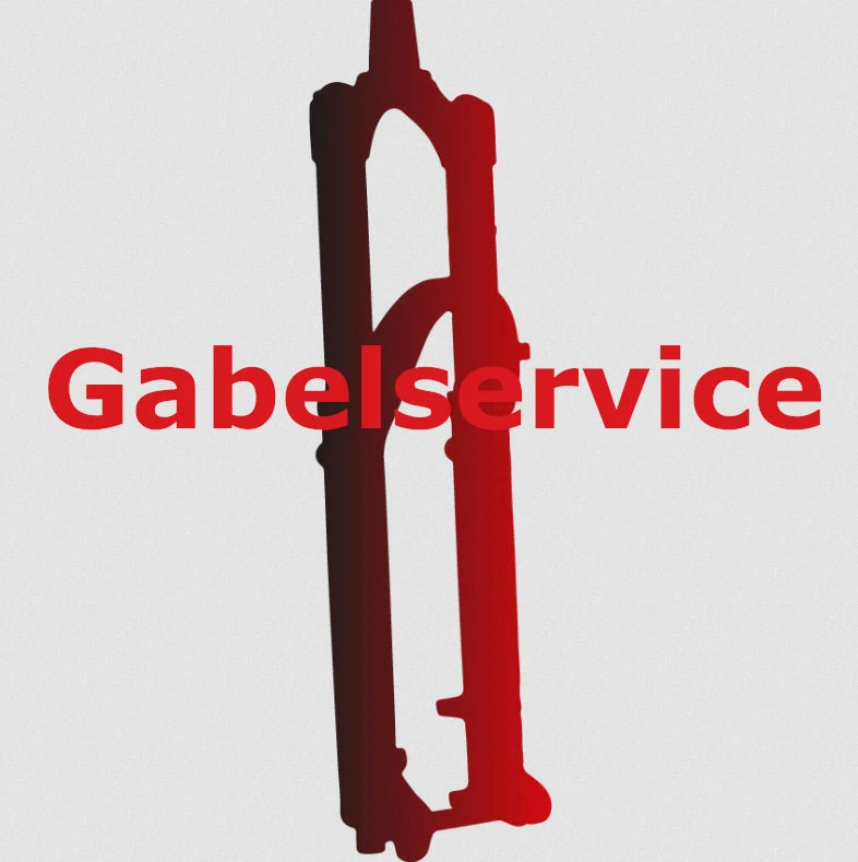 FOX 40 / 49 Federgabelservice 3 FOX 40 / 49 Federgabelservice